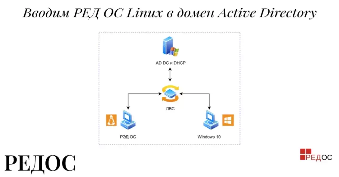 Вводим РЕДОС Linux в домен Active Directory.  Работа в РЕДОС Linux. Часть 3